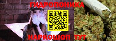 эйфоретик Будённовск