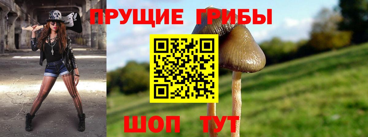 Псилоцибиновые грибы прущие грибы  Вход с VPN  Северобайкальск 